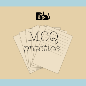MCQ Practice - 6 months