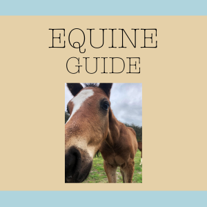 Equine Veterinary Essentials
