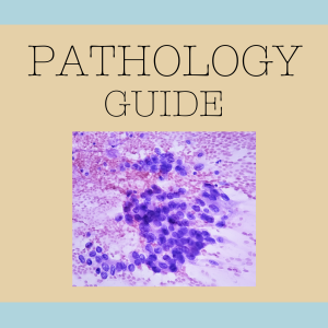 How to Study for The Pathology Vet Exam