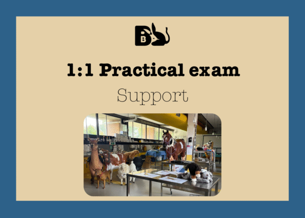1 : 1 Practical Exam
